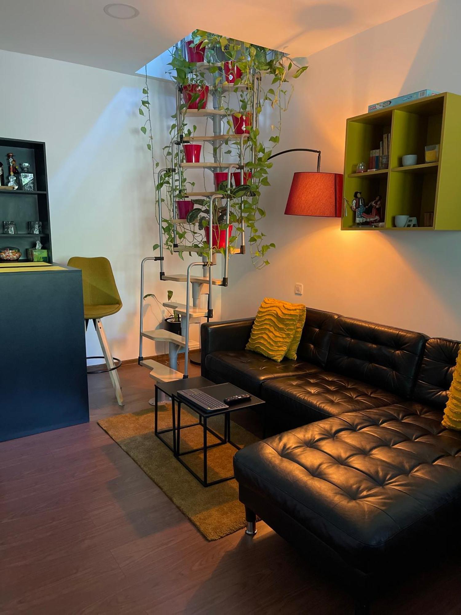 City Garden Apartments Bukares Bagian luar foto